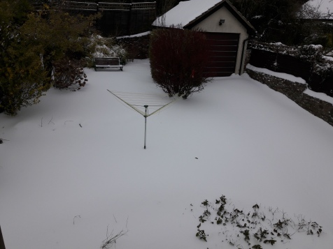 Back garden with snow